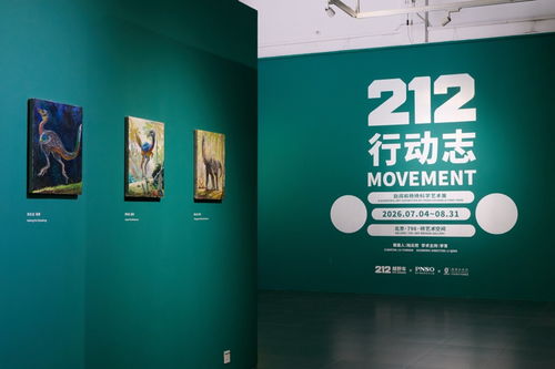 以行动之名,发现奇迹 展览创造