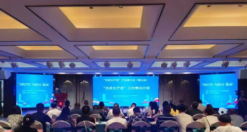 服务中小文化企业，赋能产业创新——“天府文产贷”产品推介会眉山站成功举办